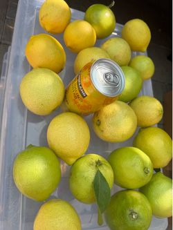 Lemon 25 x $5