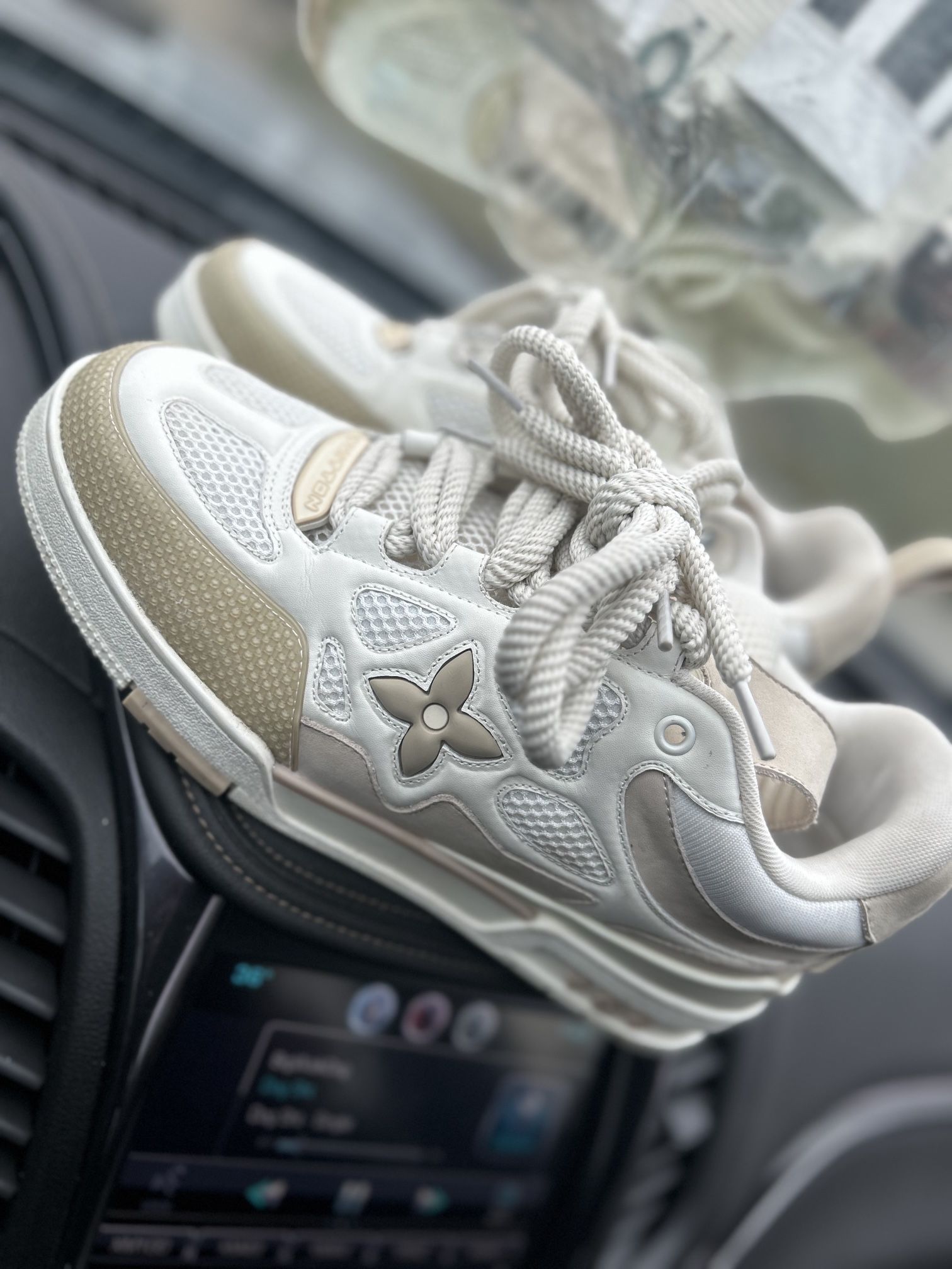 Louis Vuitton Skate Shoes
