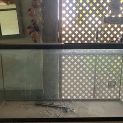 Large Fish Tank/Stand 