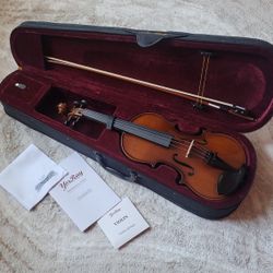 Beginners Violin 