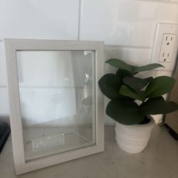 Picture Frame & Plant
