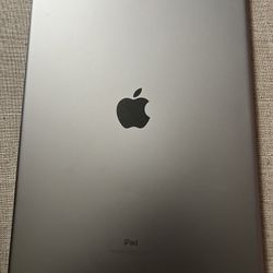 Apple iPad Pro 2nd Generation 12.9” Space gray 256gb with Cellular 