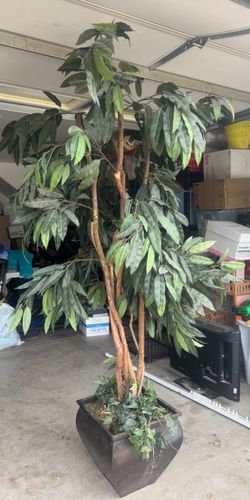 7ft tall faux tree