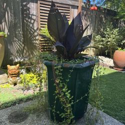Large Green Terra Cotta Pot