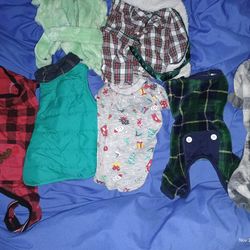 Dog Clothes Size Large Nwot Or Perfect Condition 