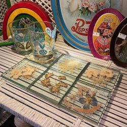 Set Of 6 Pressed Flower Glass Coasters