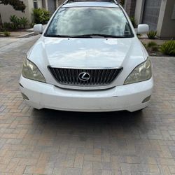 Lexus RX330 White 