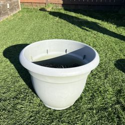 Planting Pot
