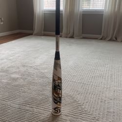 Baseball Bat
