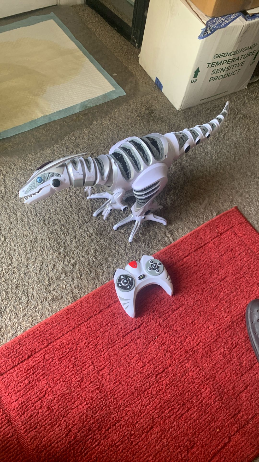 Dinosaur. 👍👍👍