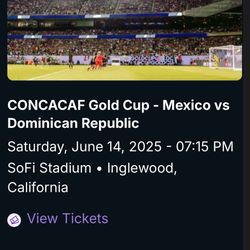 Sofi Stadium Soccer Game June 14 Méx Vs Rep Dom 