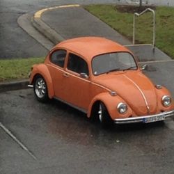 Buggy