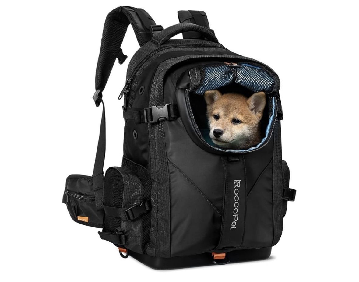 Dog Carrier Backpack,Pet and Laptop All-in-One Bag