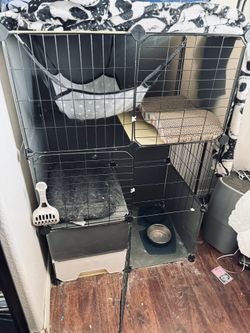 Cat Condo, Cat Genie, Toys