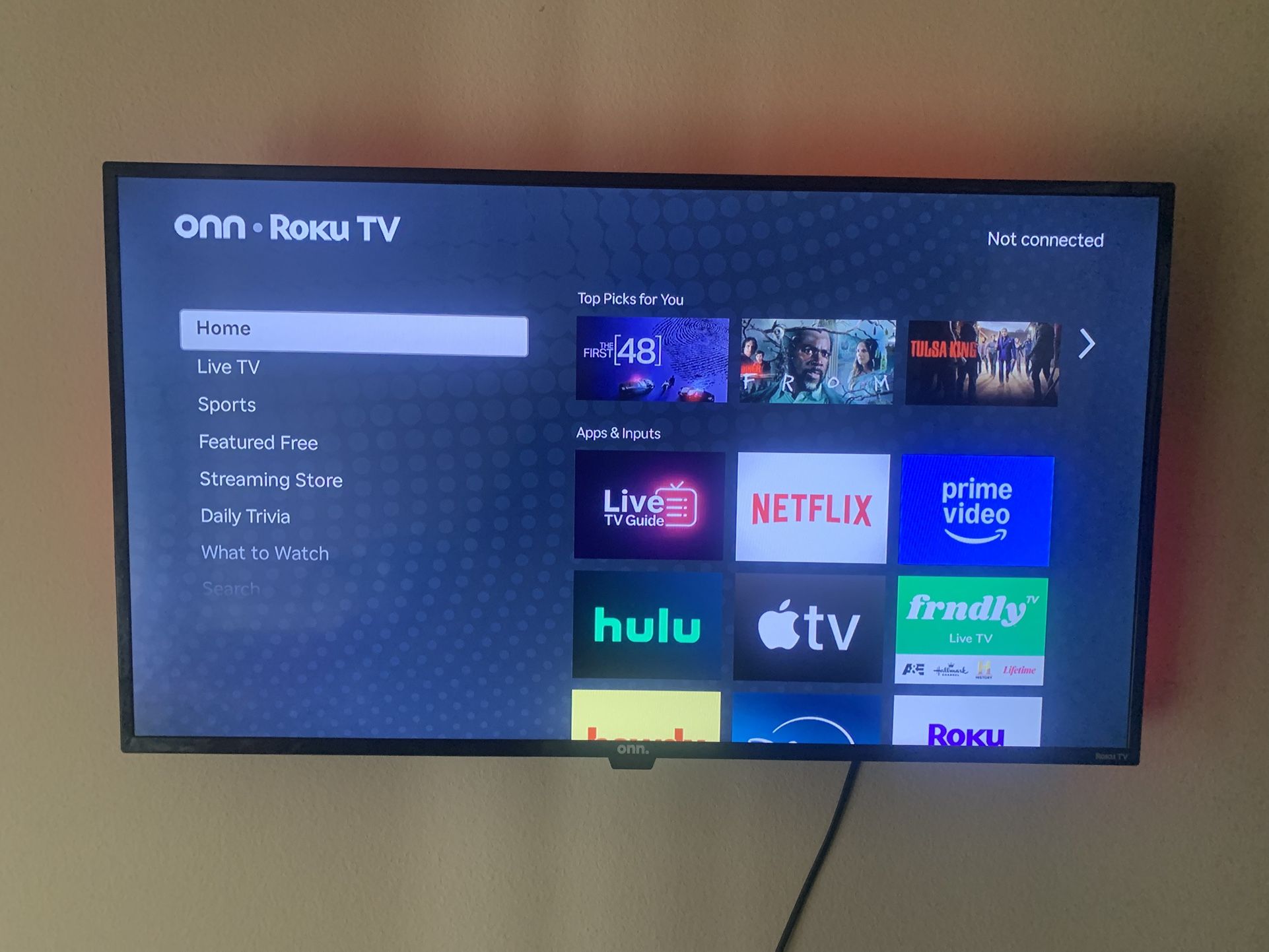 45 Inch Roku With lights and wall Mount