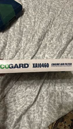 Ecogard XA10462 Engine Air Filter