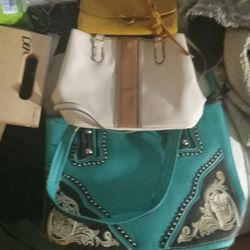 3 Desighner Bag Liz Claborn 70 Pocket Book Bra D New With Price Tag All3 Bags $30 