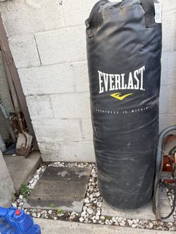 Punching Bag