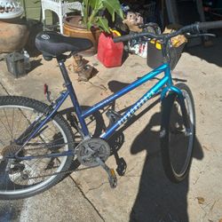 Womens Dimondback  Bycicle 