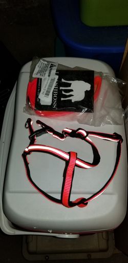 Dog Harness Thumbnail
