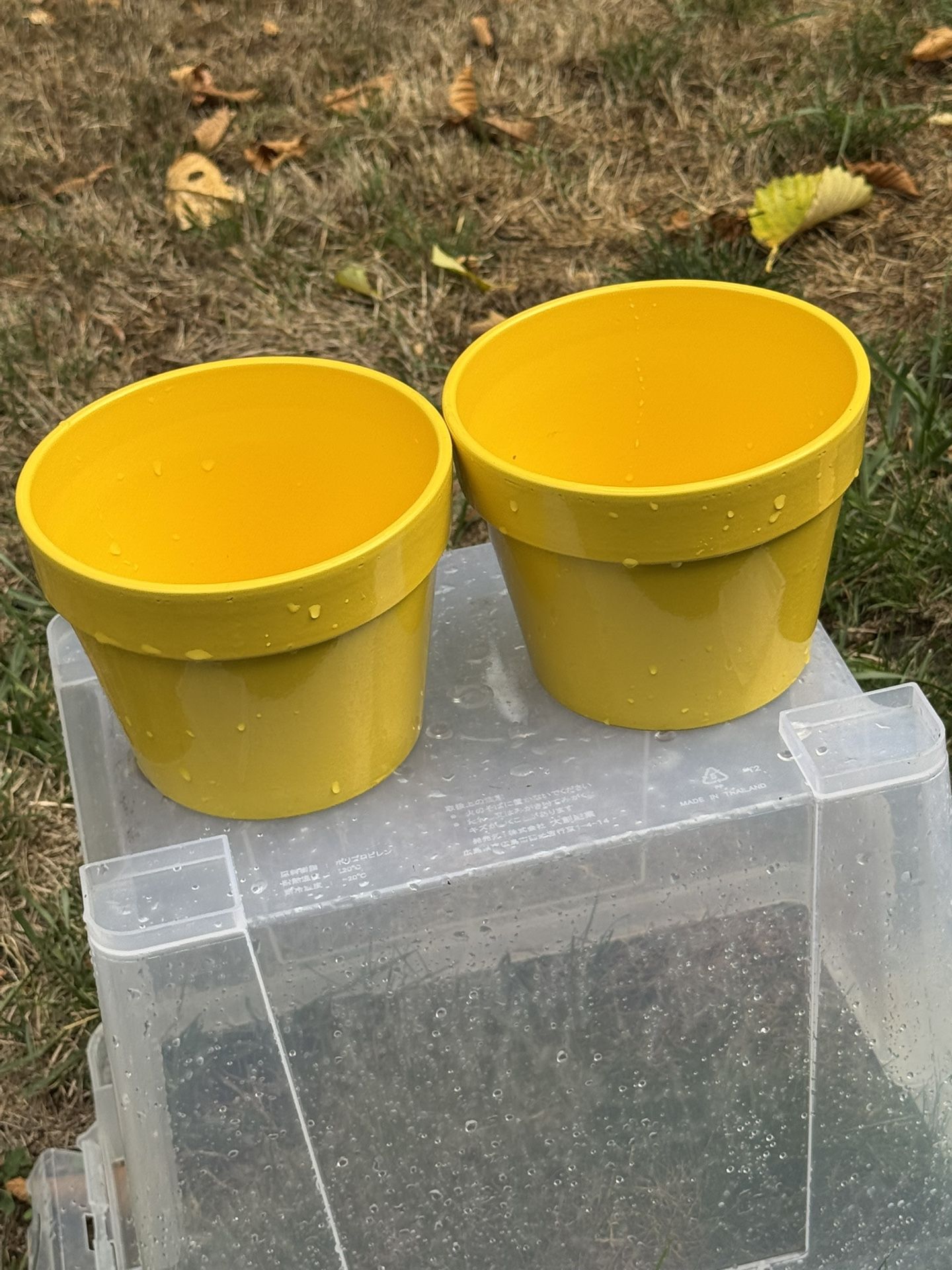 2 Ceramic Pots
