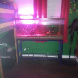 55 Gallon Fish Tank 