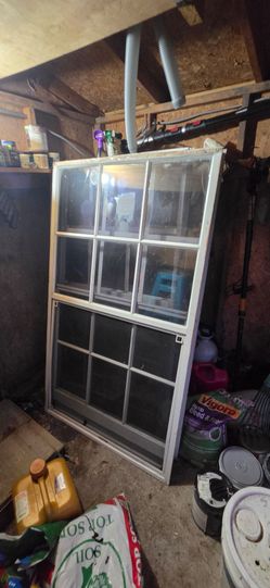 37x63 windows
