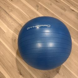 65cm Exercise Ball / Yoga Ball – $10