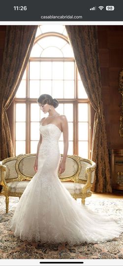 Bridal Gown / Wedding Dress