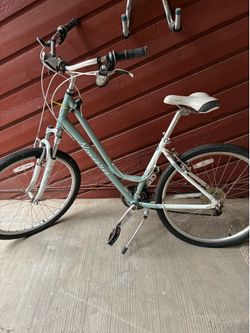 Novara step over bike