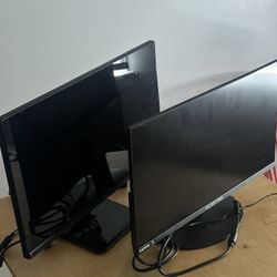 Two 19” LCD Monitors