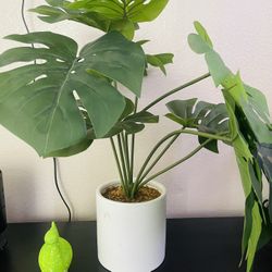 fake decorative plant