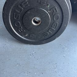 Rogue 10LB Bumper Plate Pair - New Never Been Used
