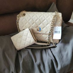 Kate Spade Purse And Wallet