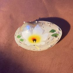 shell coin purse