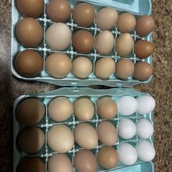 Eggs - Fresh Unwashed