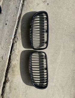 E9x Kidney Grills OEM