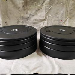 Rubber Bumper Plate Set (190 lbs - 10, 15, 25, 45 lb Pairs)