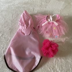 Dog Raincoat, Birthdate Party Skirt, & One More 