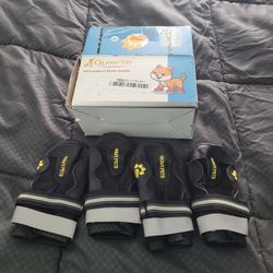 Brand New Dog Shoes 