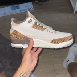 Jordan 3 Palomino