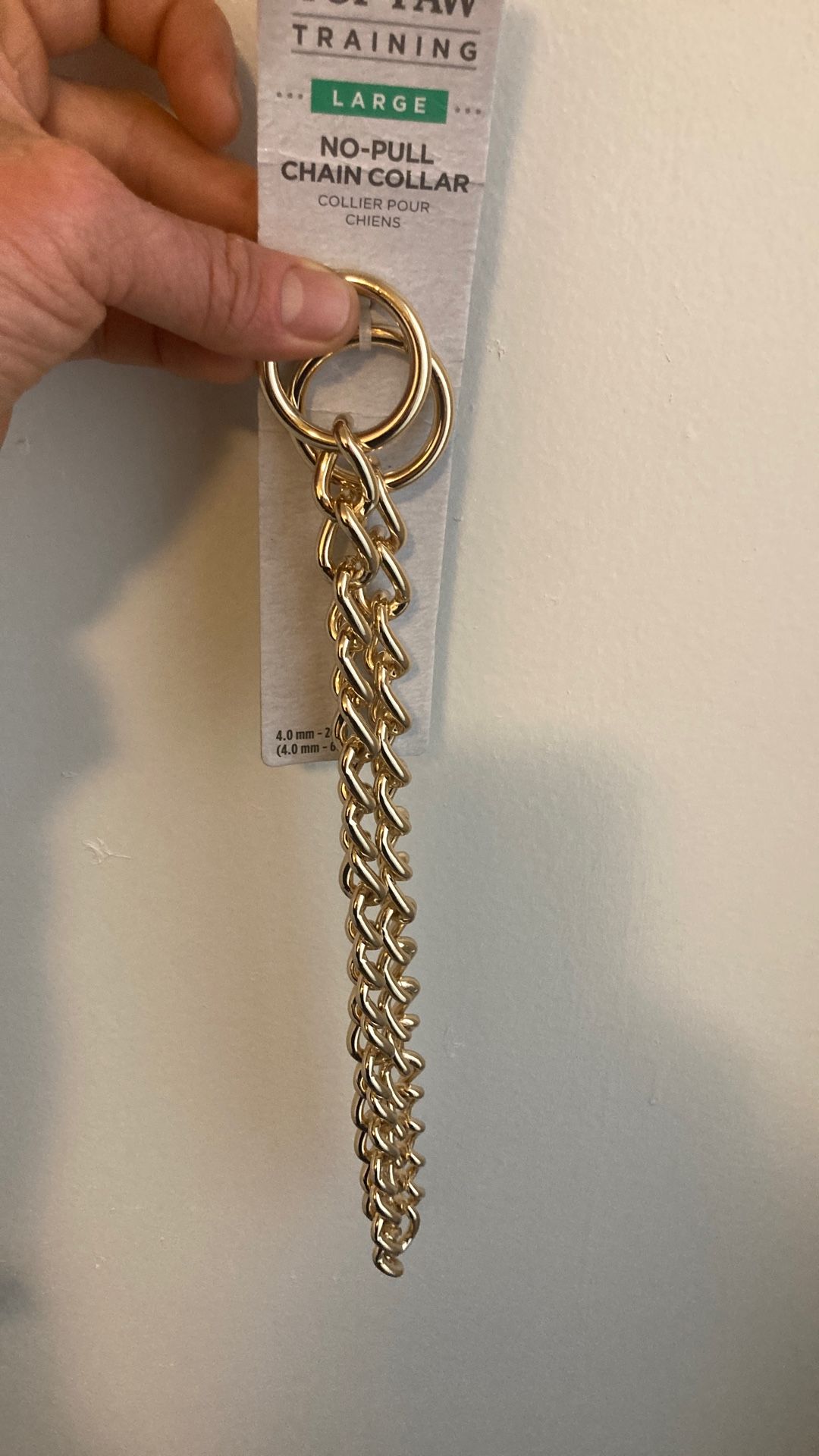 Dog Collar. Gold Plated