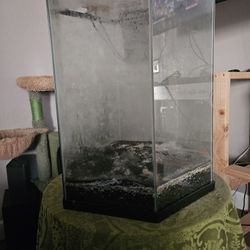 Fiah Tank And Terraium