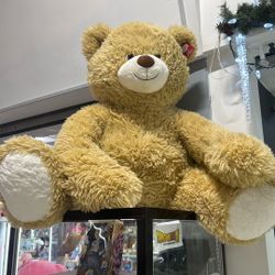 Teddy Bear