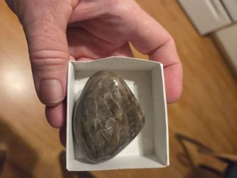 Petoskey Michigan state stone.
