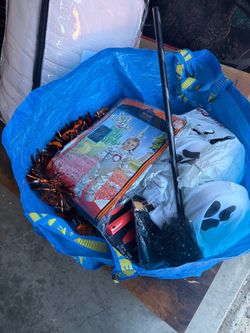 Halloween Decorations and Costumes Lot