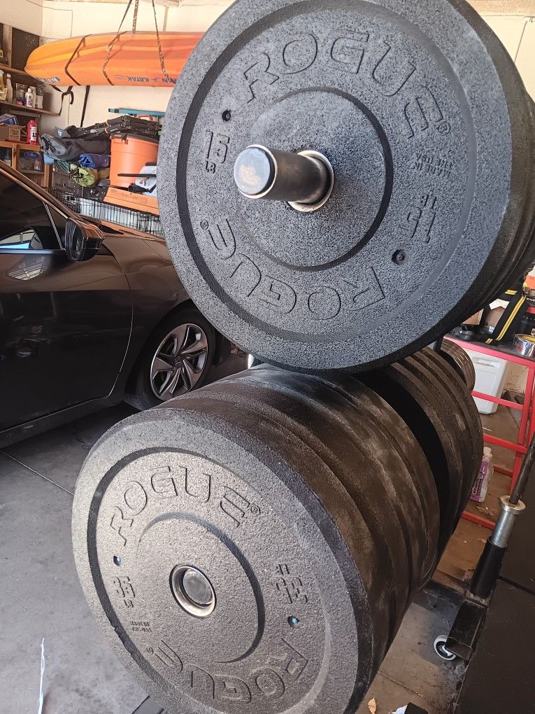 Rogue Mil Spec Bumper Plates