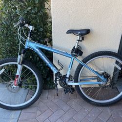 Novara Mountain Bike (REI)