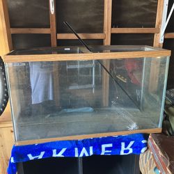 Fish Tank