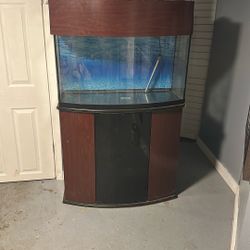45 Gallon Fish Tank and Stand